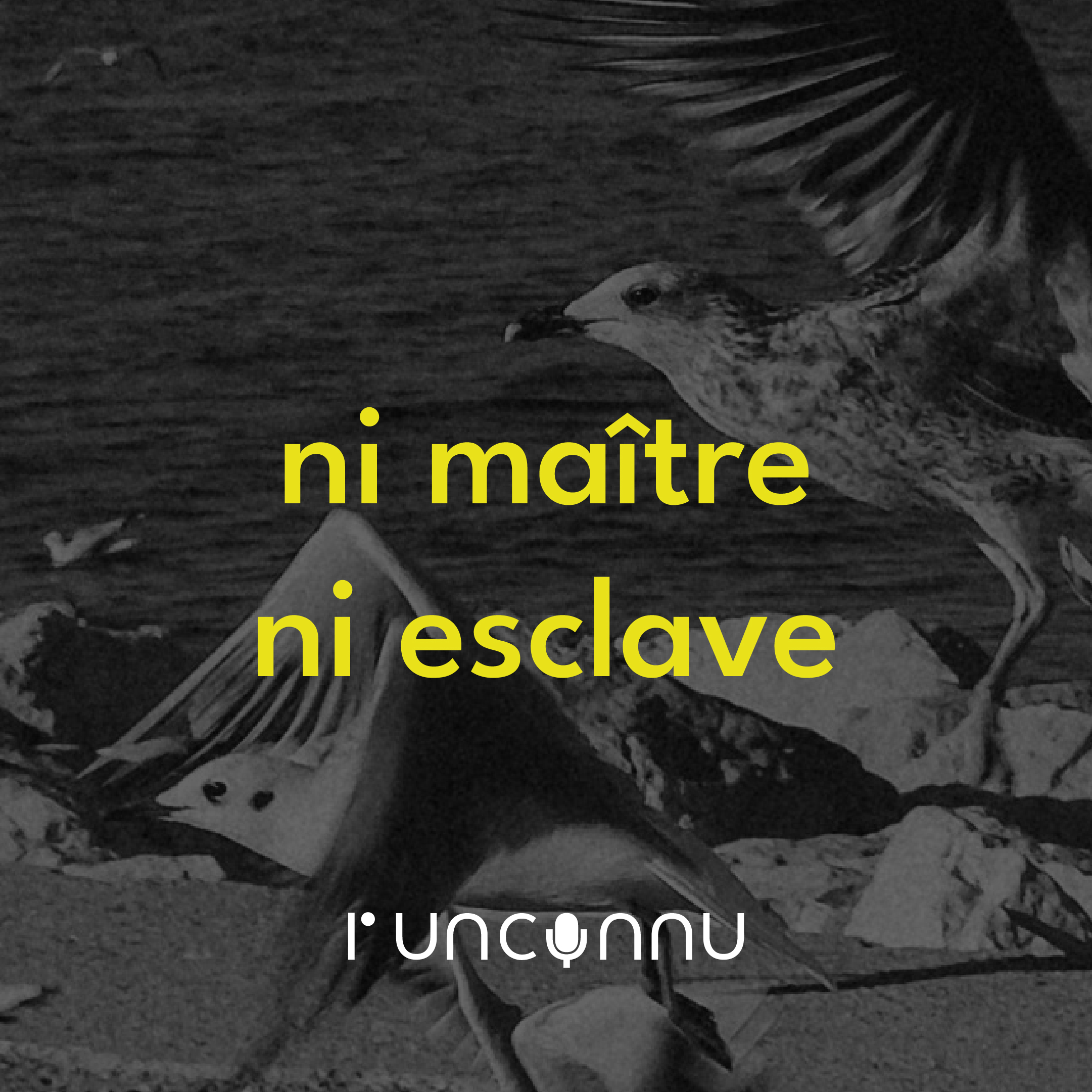 #1 ni maître ni esclave (Pilote)
