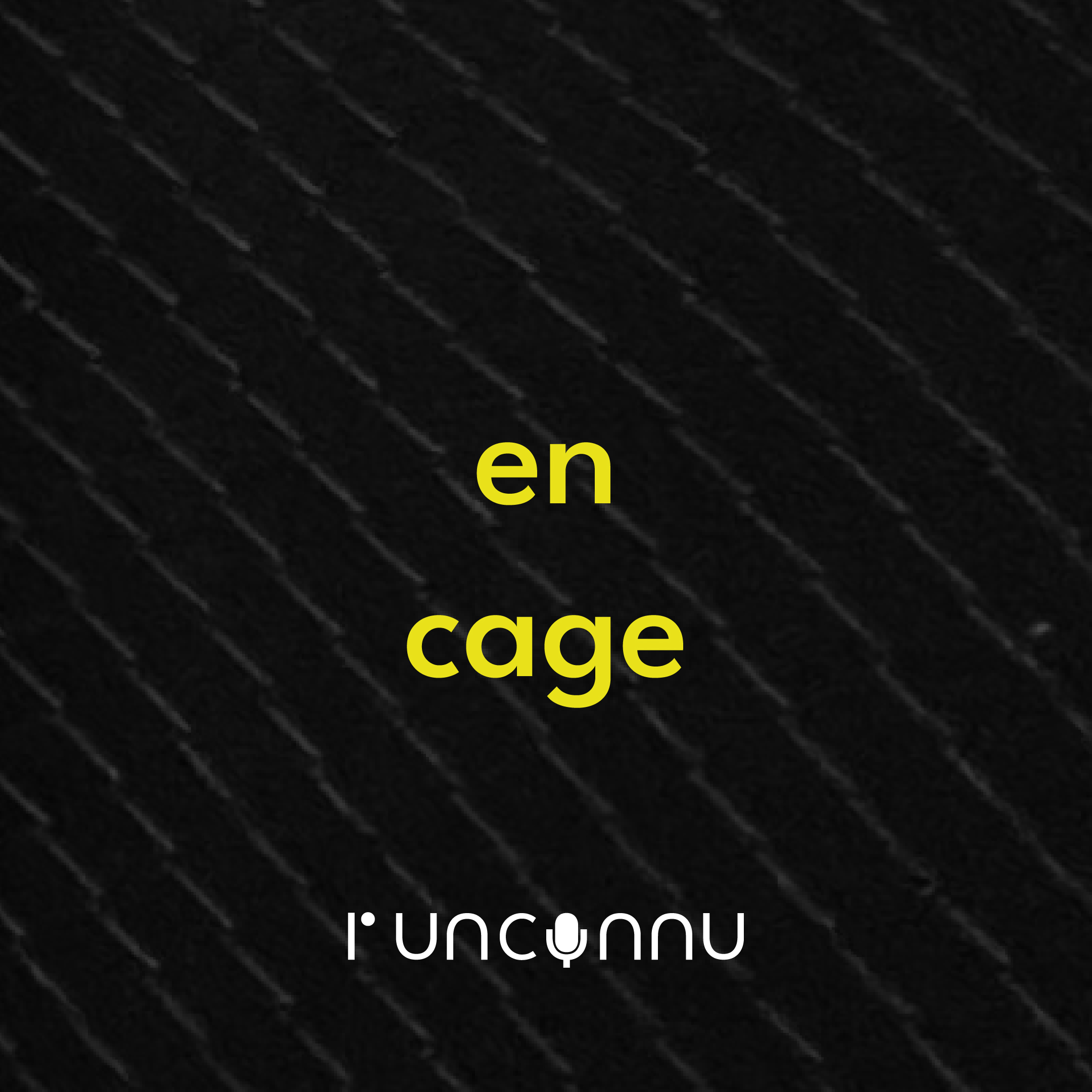 #4 en cage