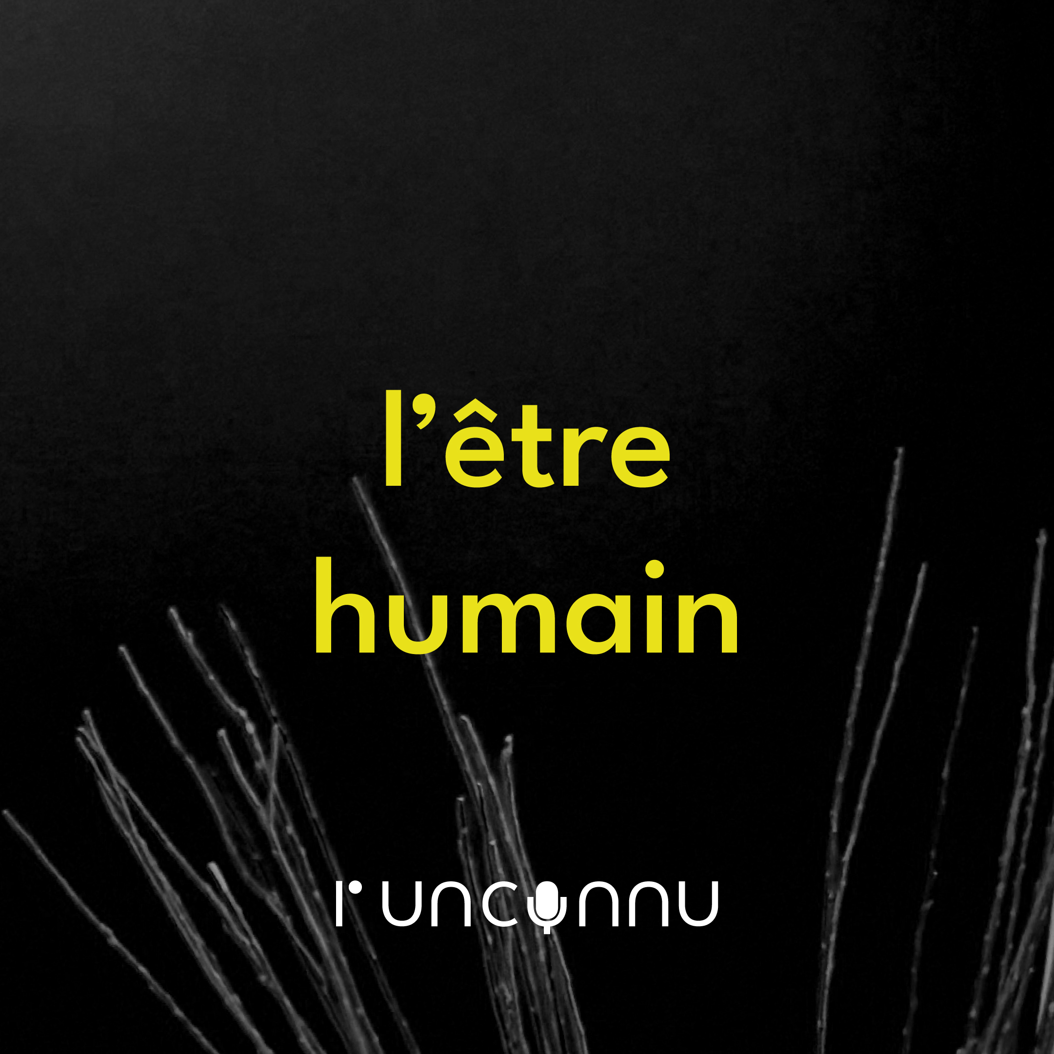 #10 l’être humain