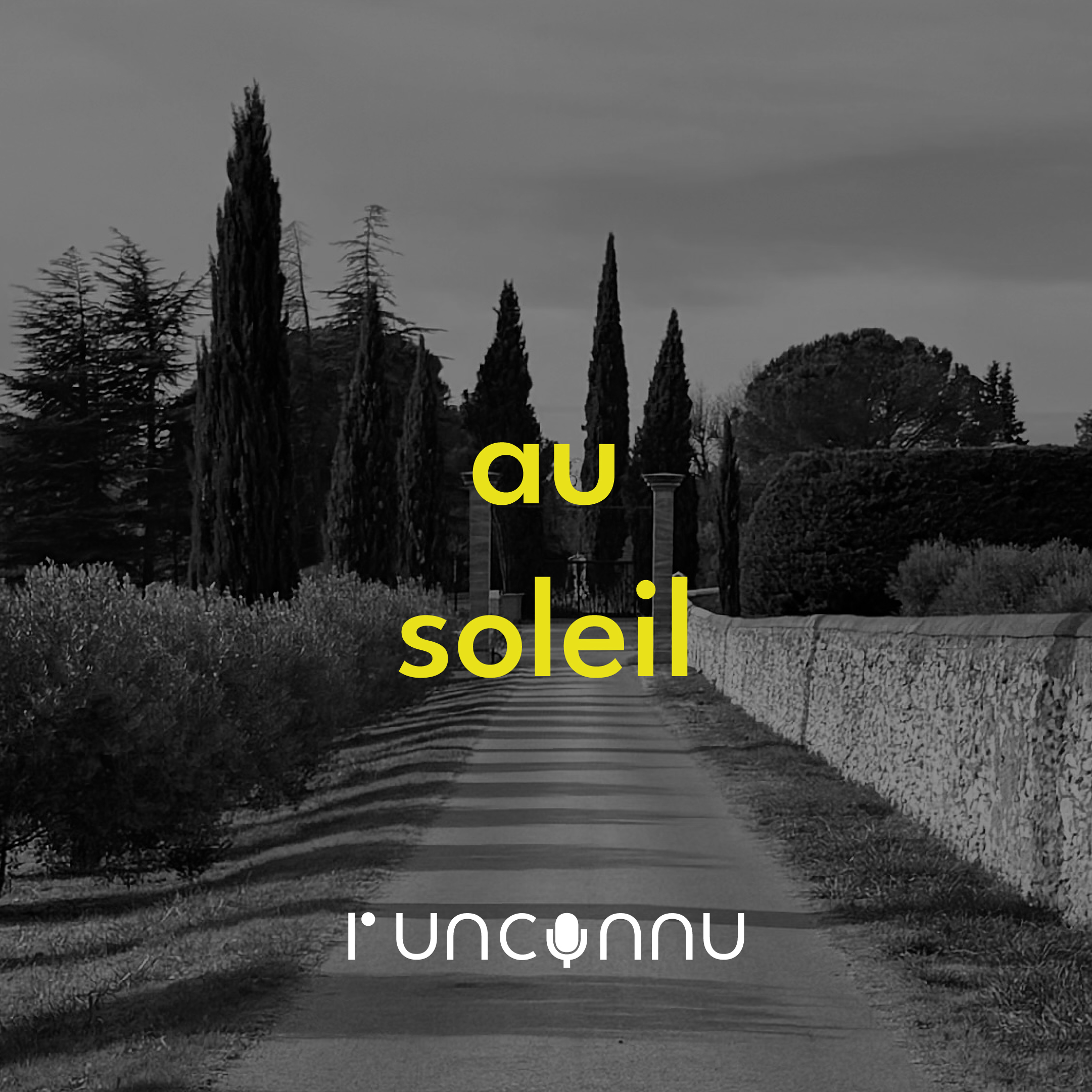 #13 au soleil