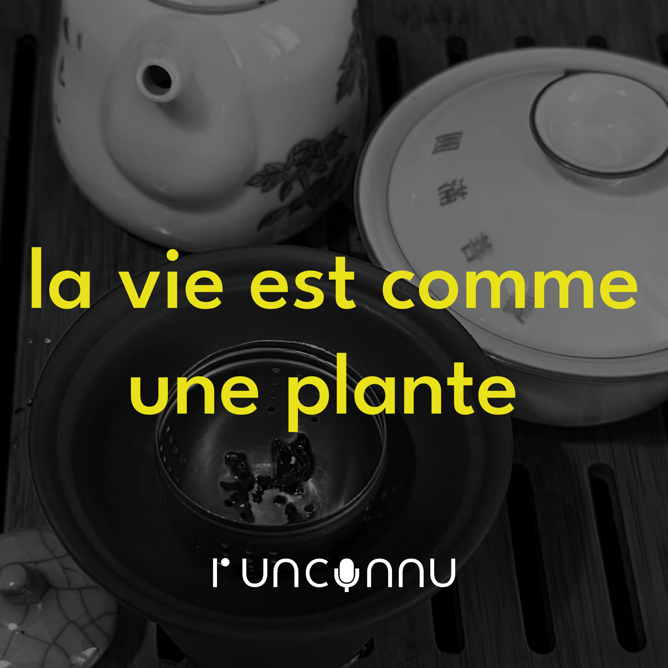 #𝟮2 « la vie est comme une plante »