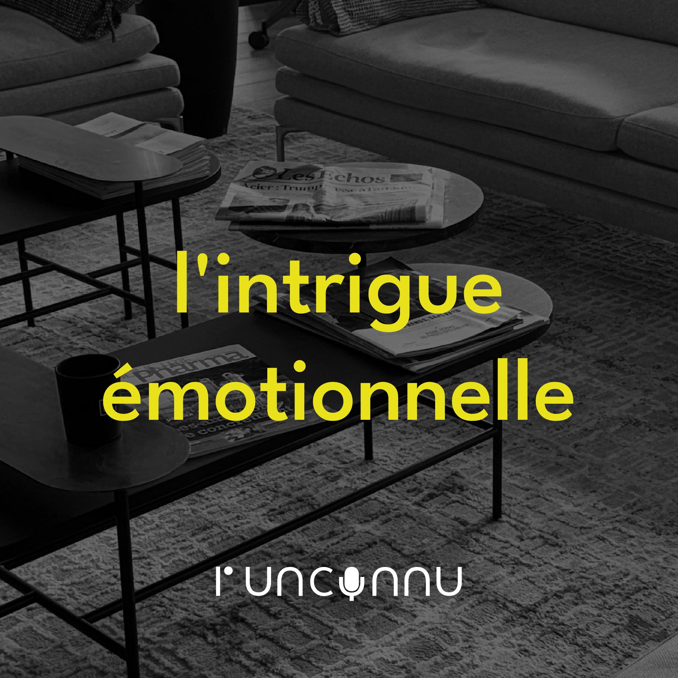 #𝟮9 « l’intrigue émotionnelle »