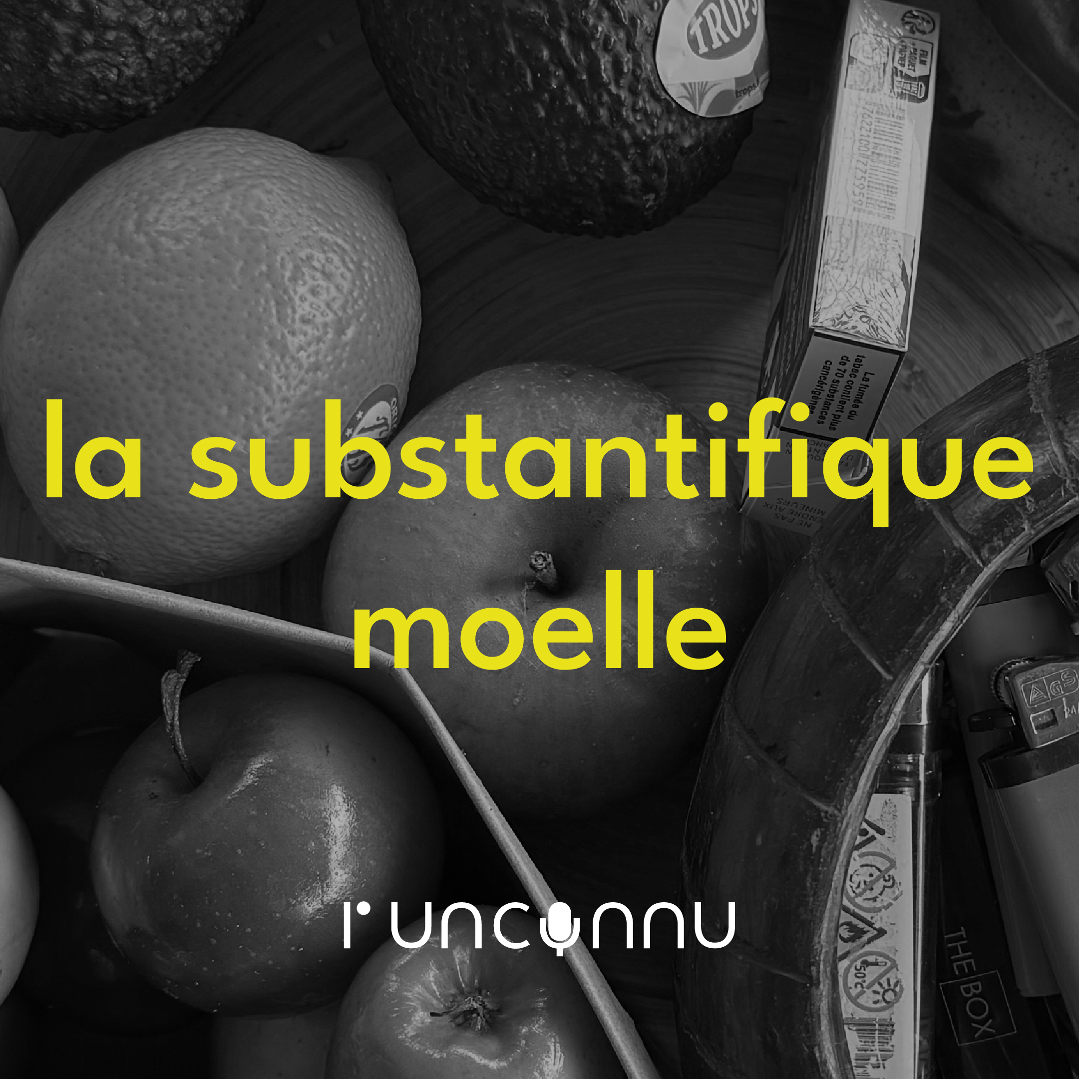 #32 « la substantifique moelle »