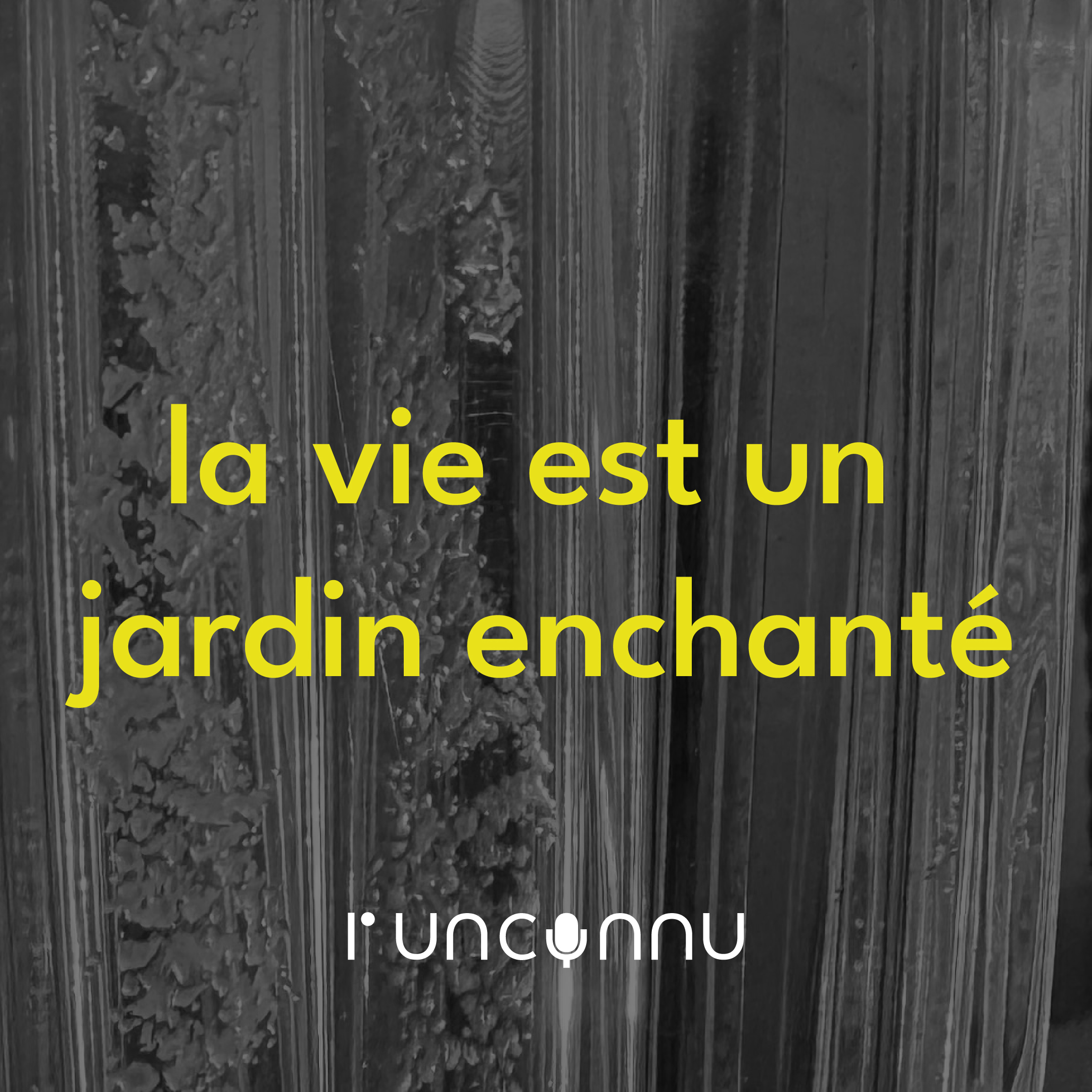 #33 « la vie est un jardin enchanté »