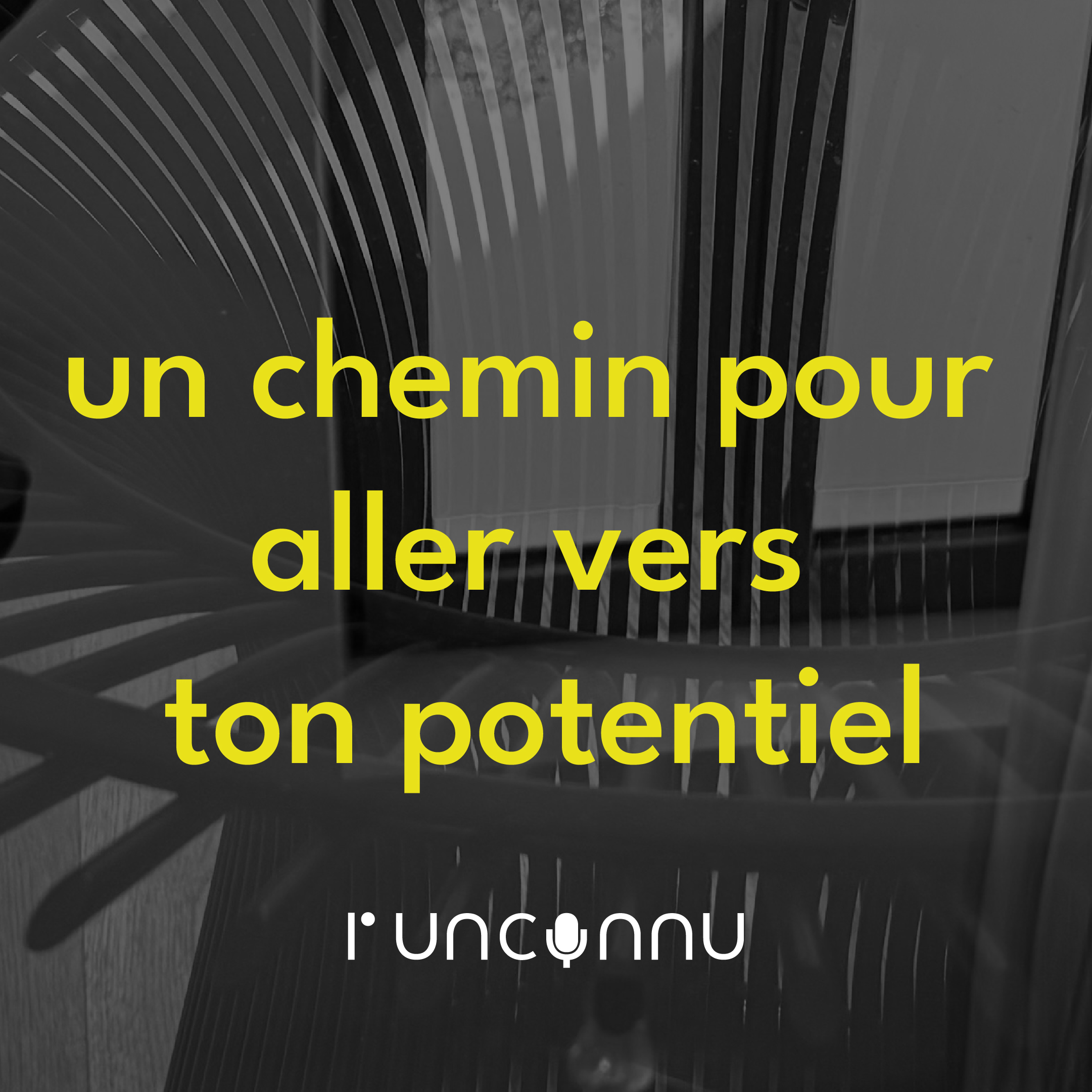 #36 « un chemin pour aller vers ton potentiel »