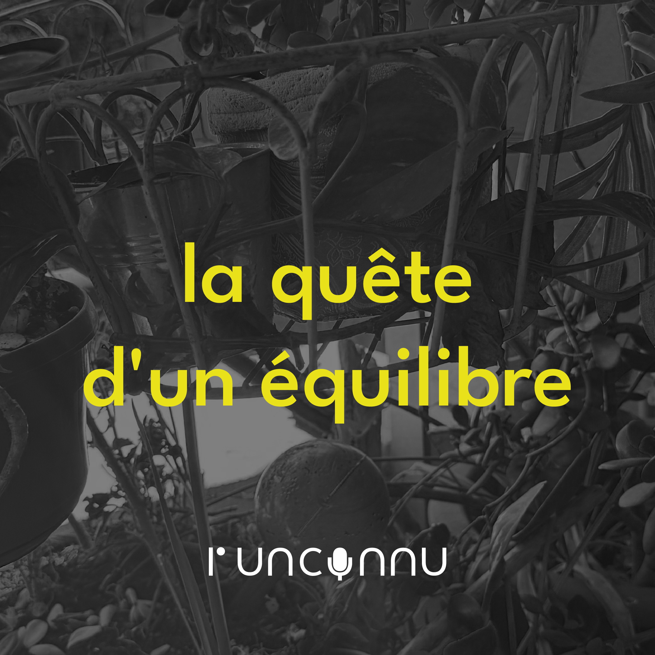 #42 « la quête de l’équilibre »