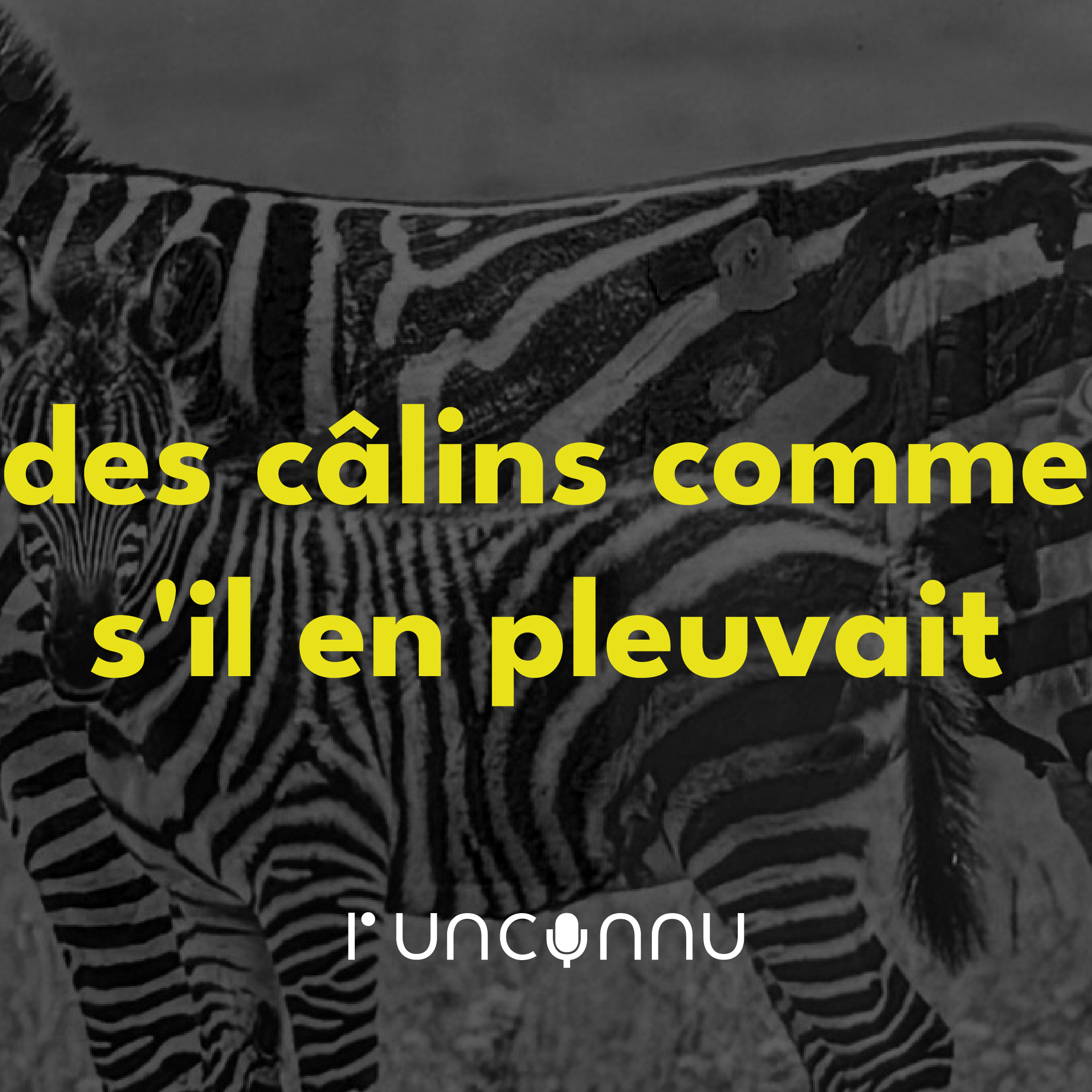 #52 « des câlins comme s&rsquo;il en pleuvait »