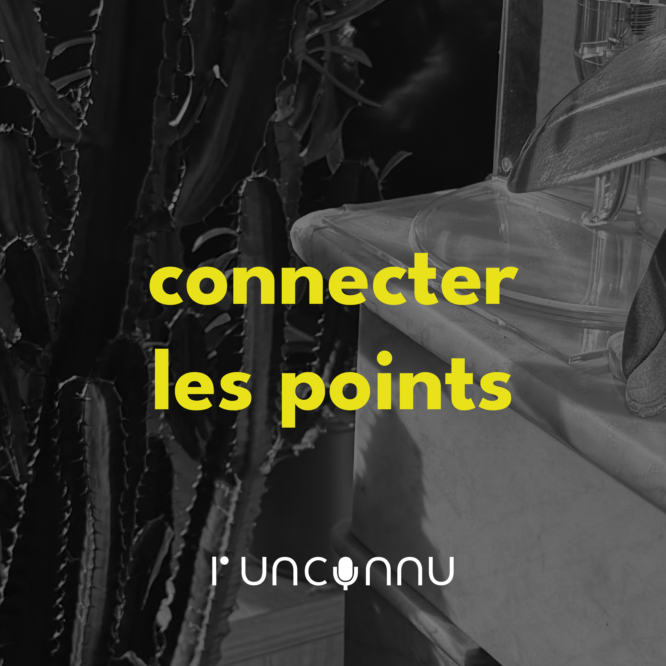 #56 « connecter les points »