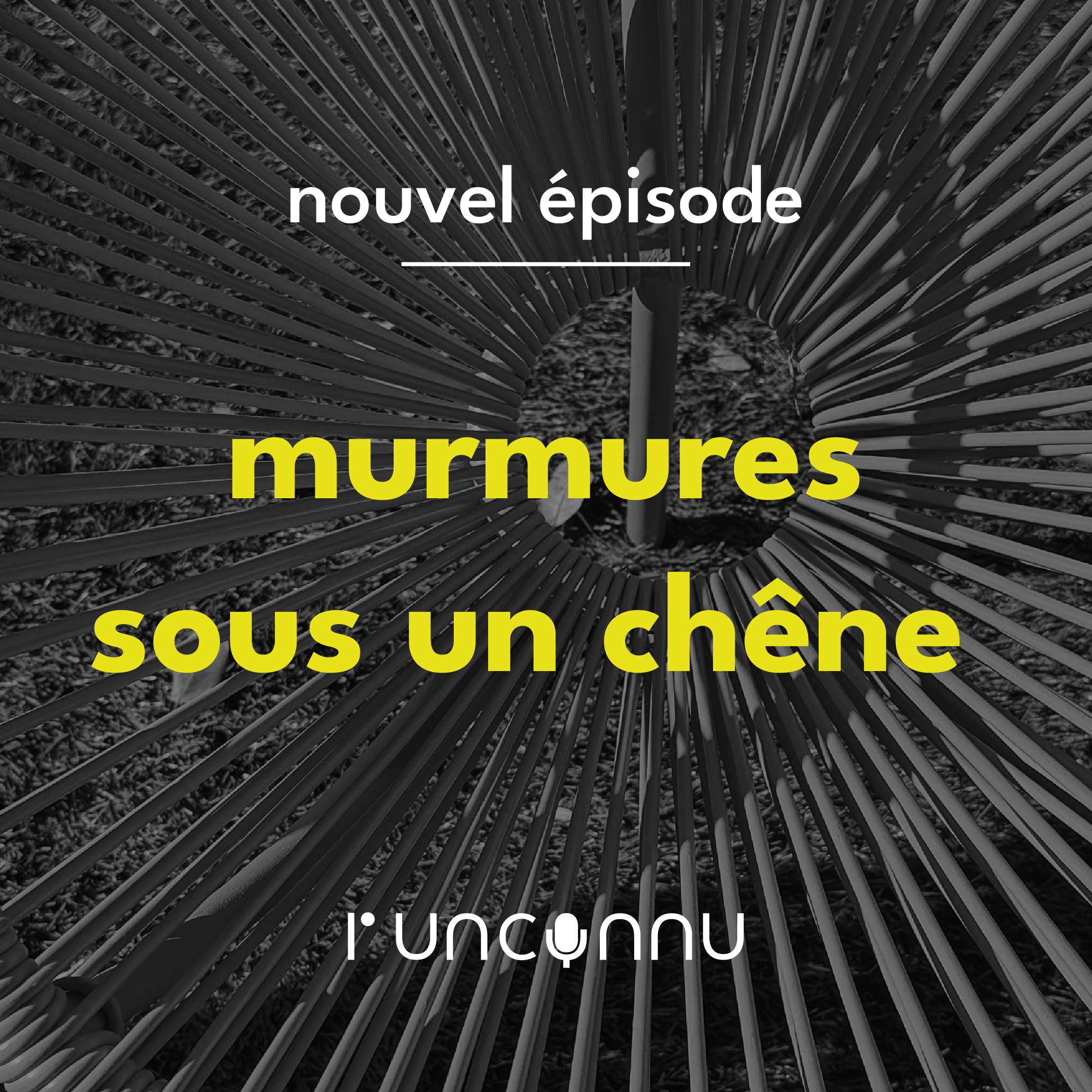 #68 « murmures sous un chêne »
