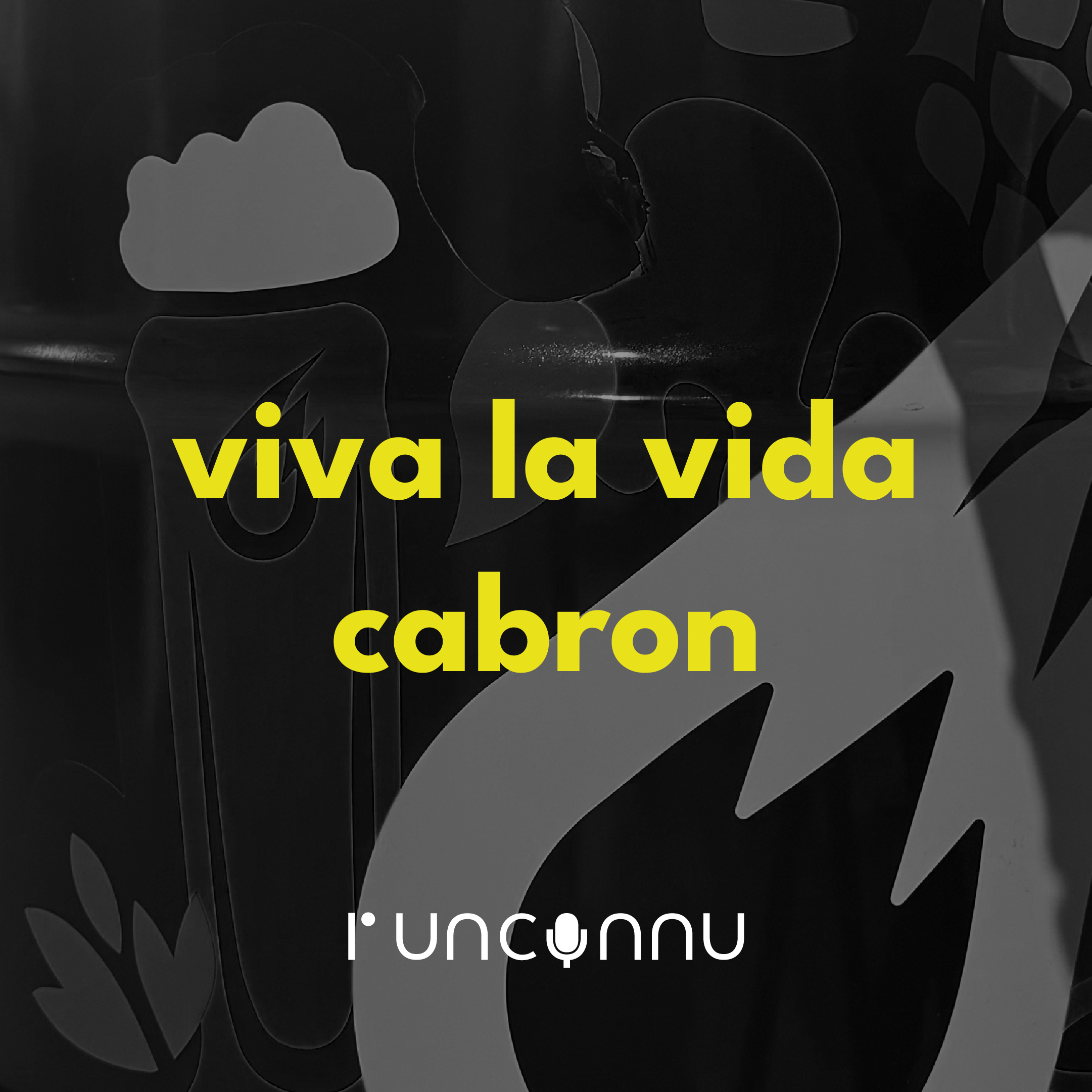 #69 « viva la vida cabron »