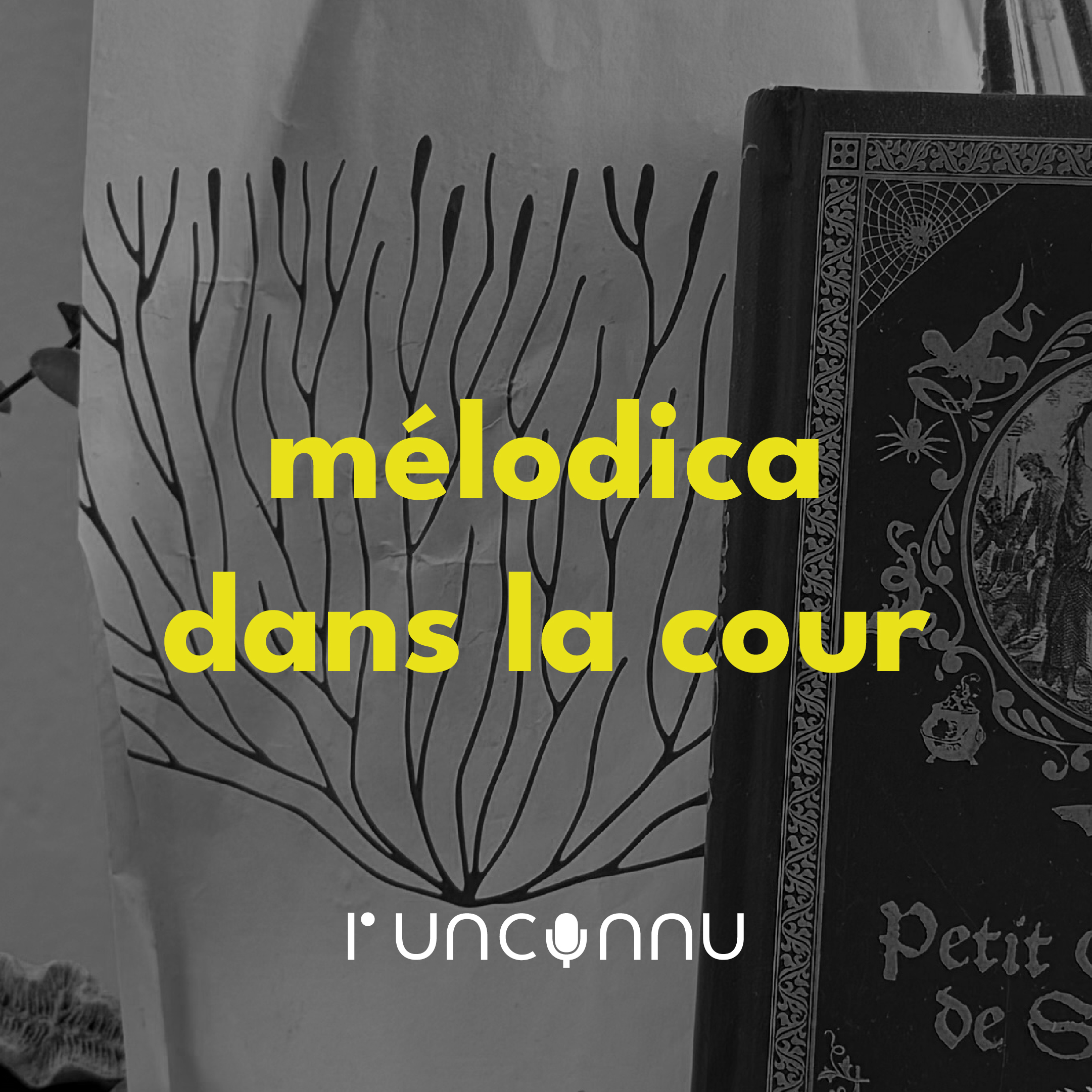 #74 « mélodica dans la cour »