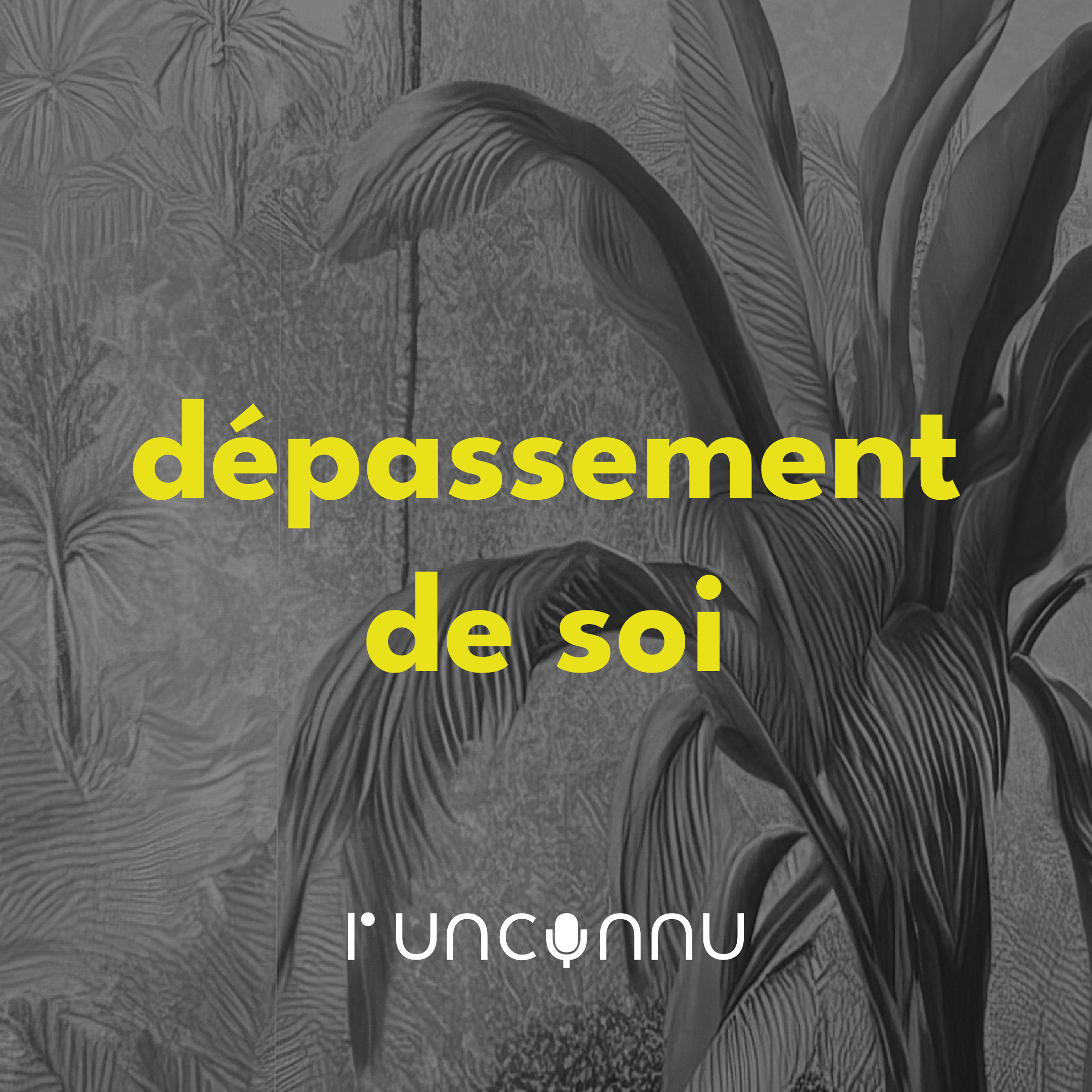 #77 « dépassement de soi »
