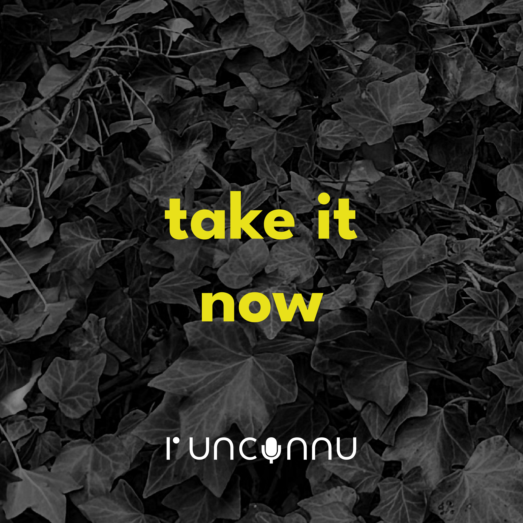 #78 « take it now»