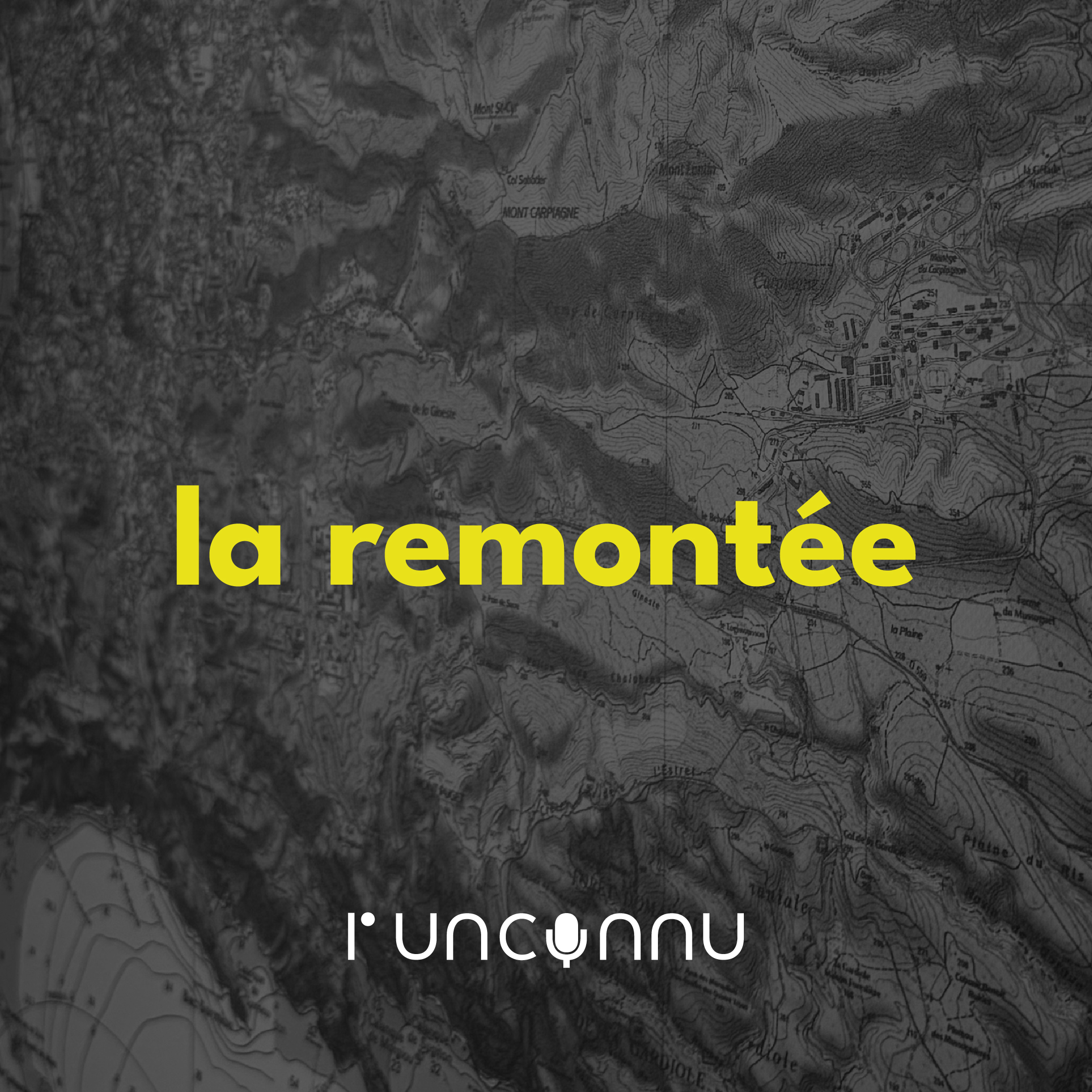 #81 « la remontée »