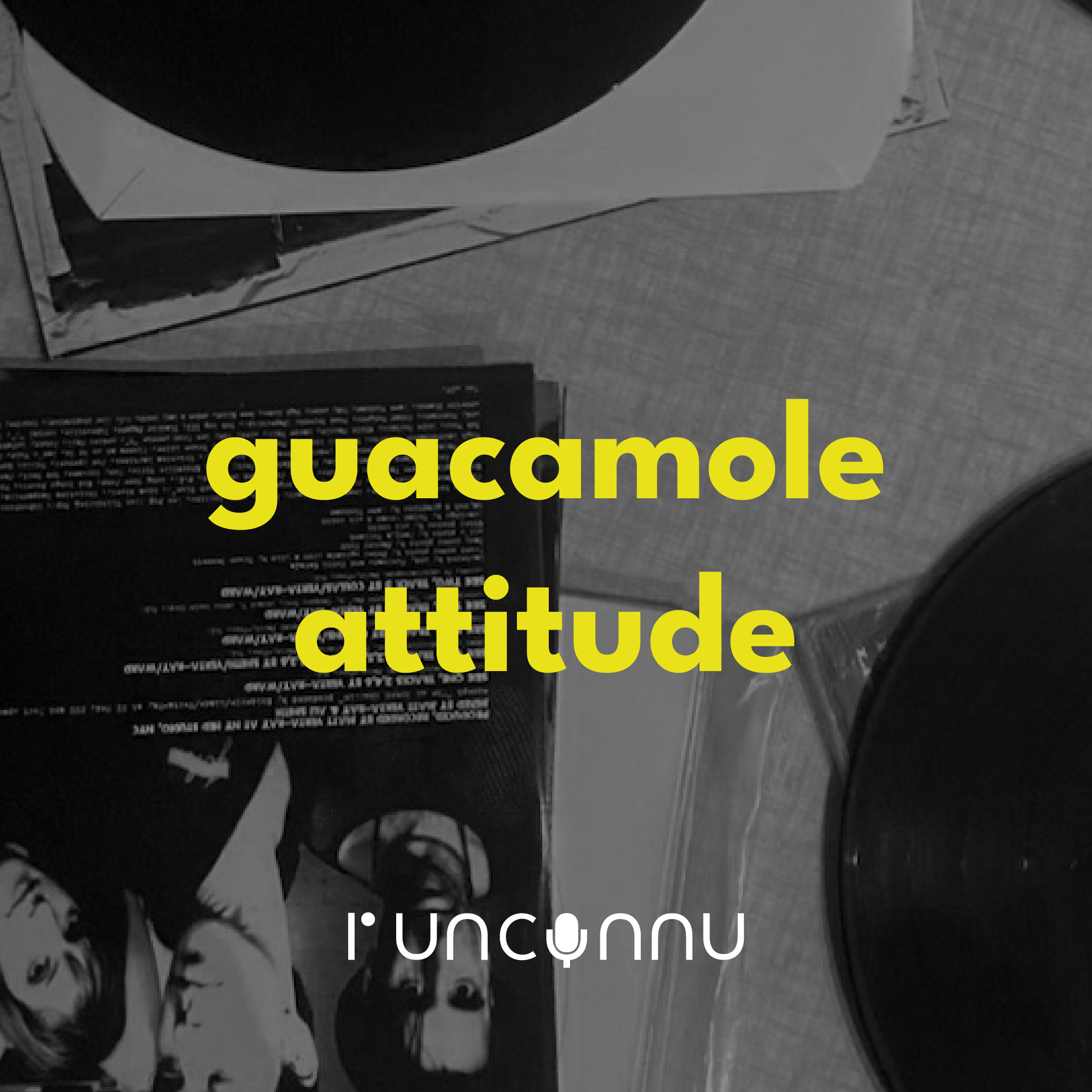 #83 « guacamole attitude »