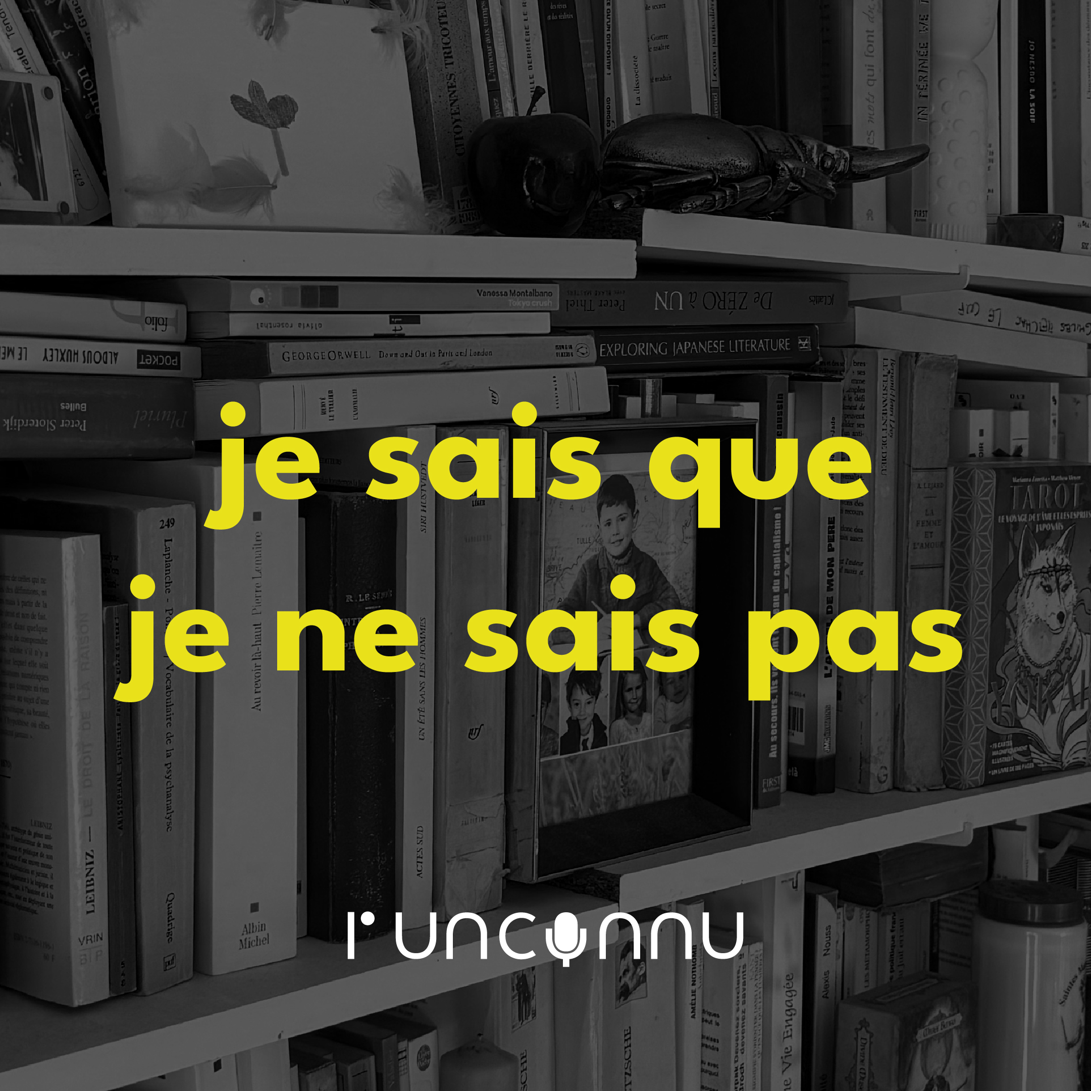 #85 « je sais que je ne sais pas »
