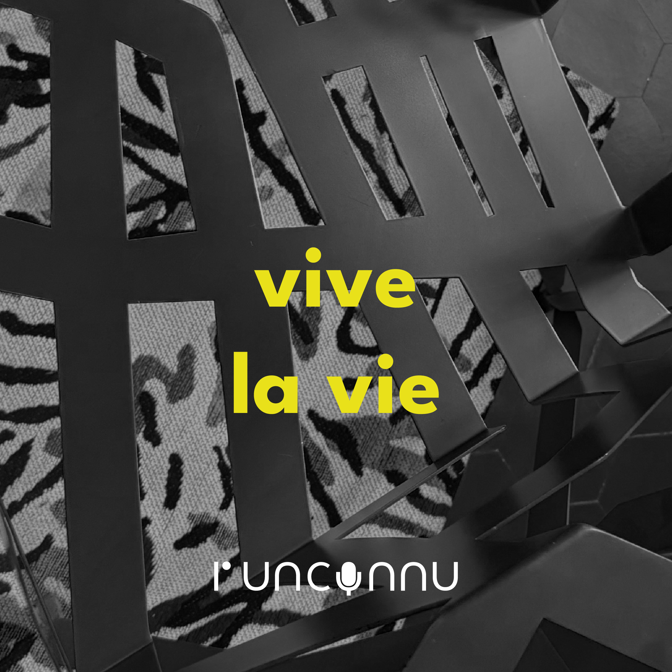 #87 « vive la vie»